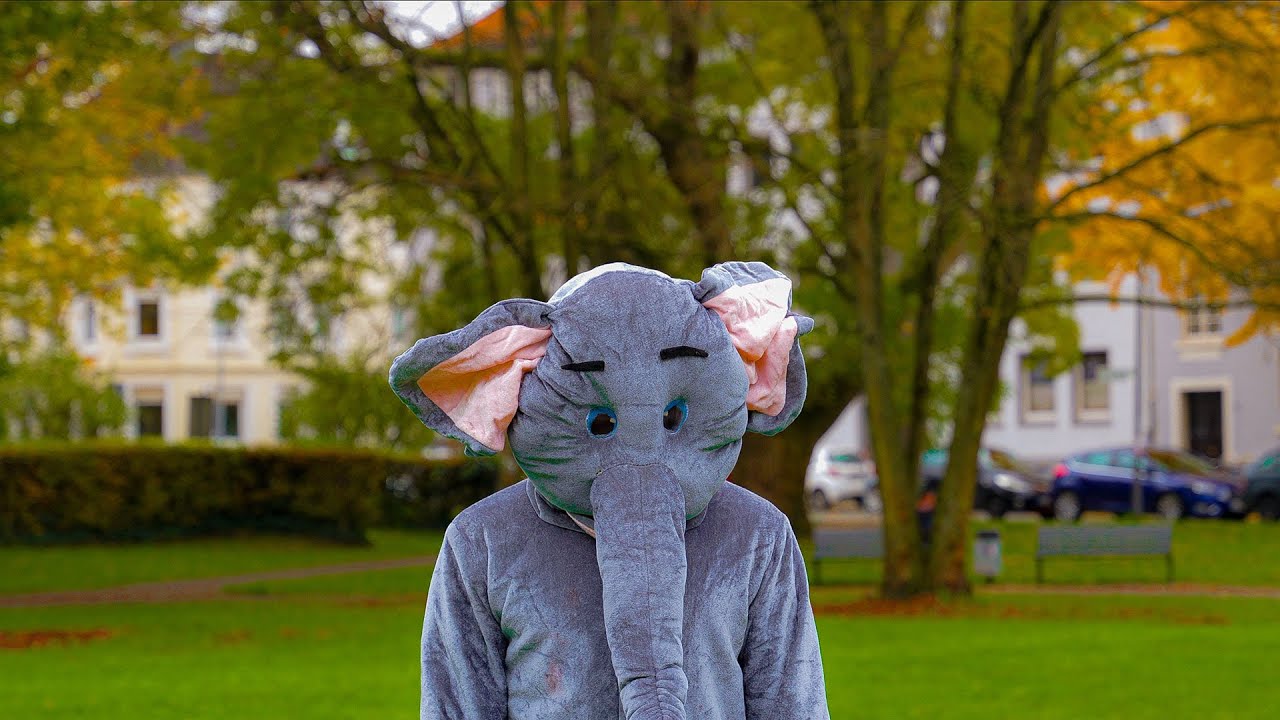 a heartless elephant