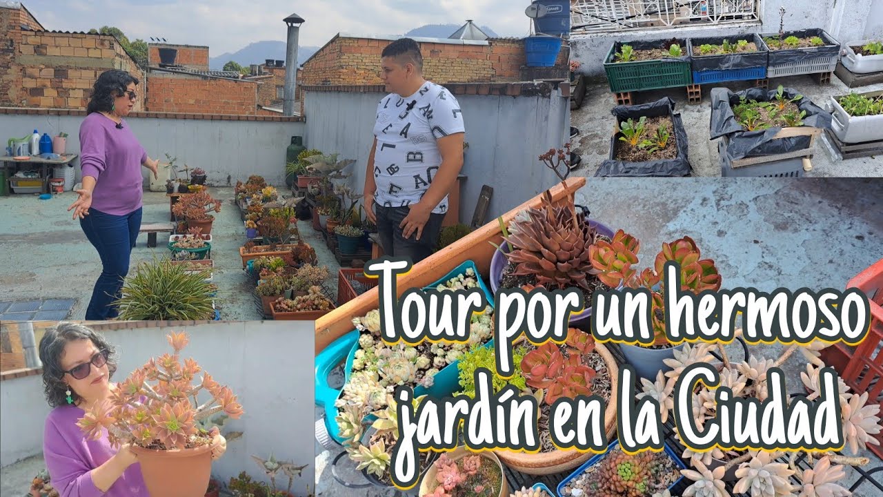 Tour por el jardin de Angela una terraza llena de suculentas y con su propia huerta.