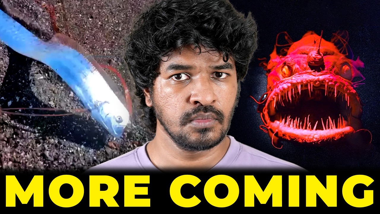 🔥 They Are Coming! 😮 Deep Sea Animals 🦑 🐙 | Madan Gowri | Tamil | MG Squad 🖖🏻