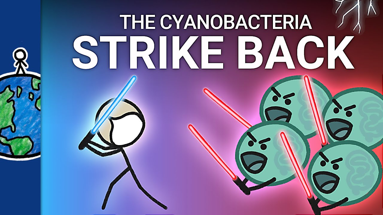 The Bacteria That Made Life Possible Are Now Killing Us