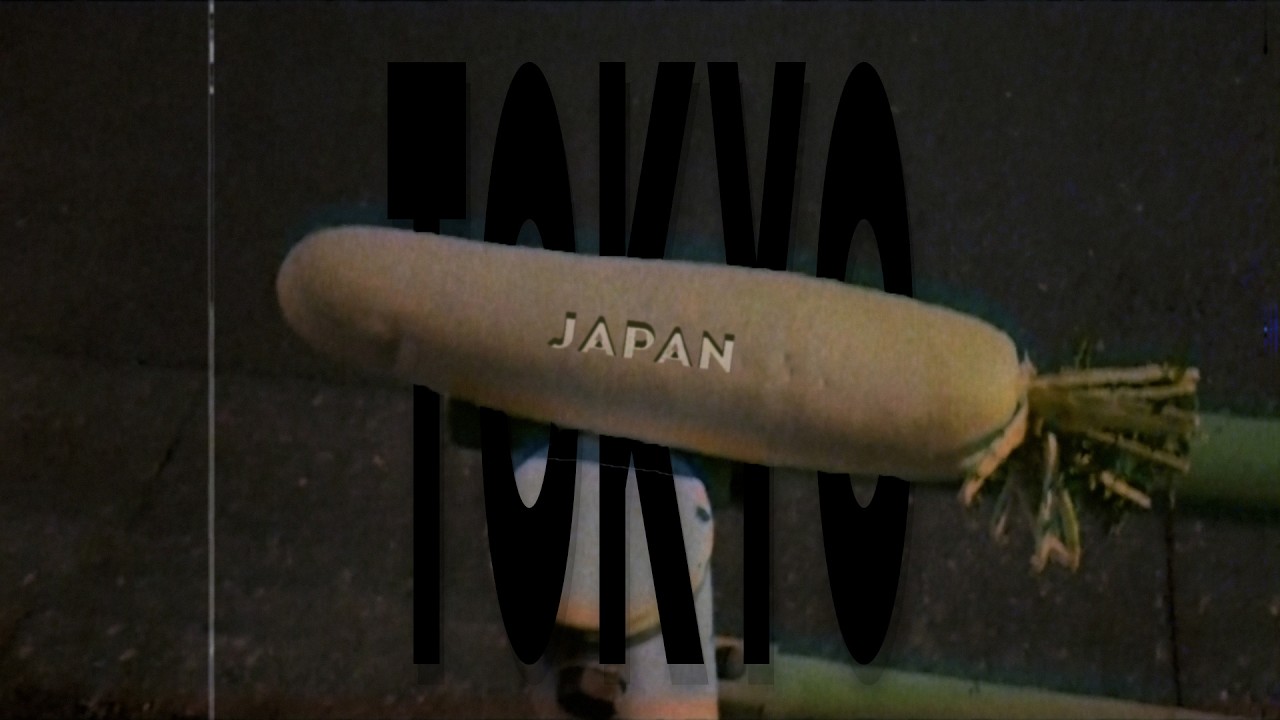 A Guide To Being A Gaijin