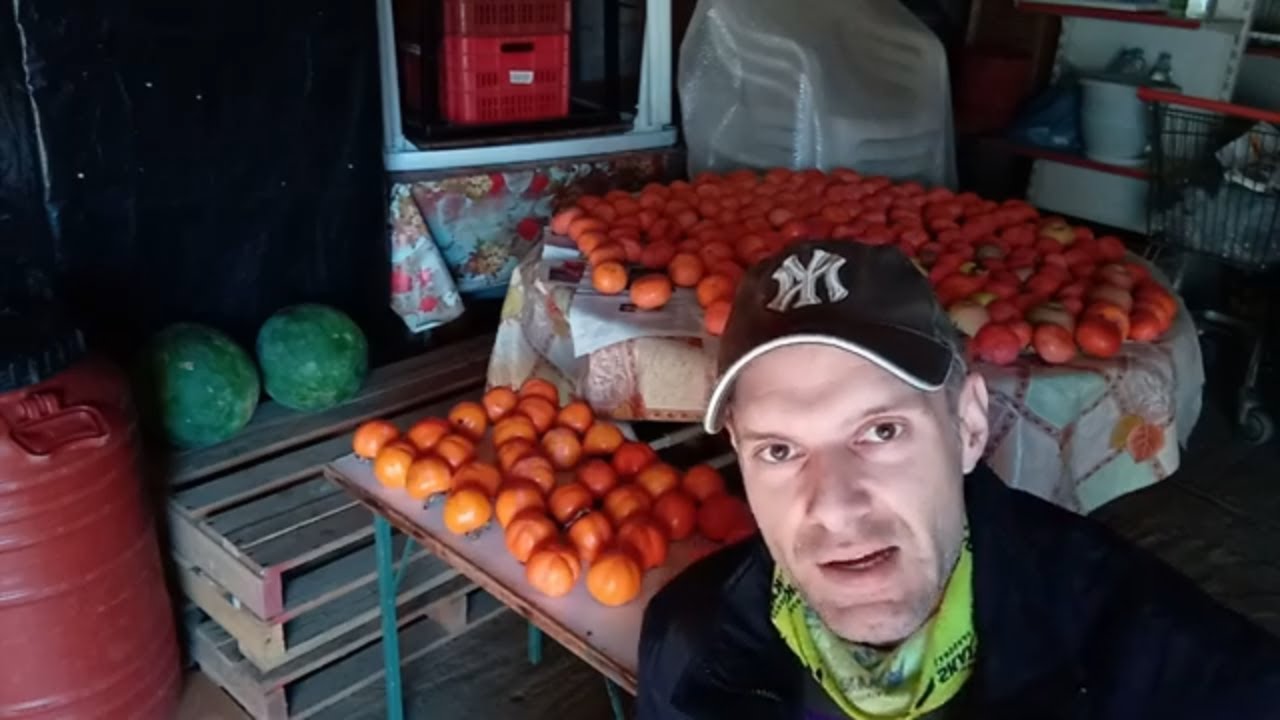 Πως να οριμάσουμε εναν λωτό