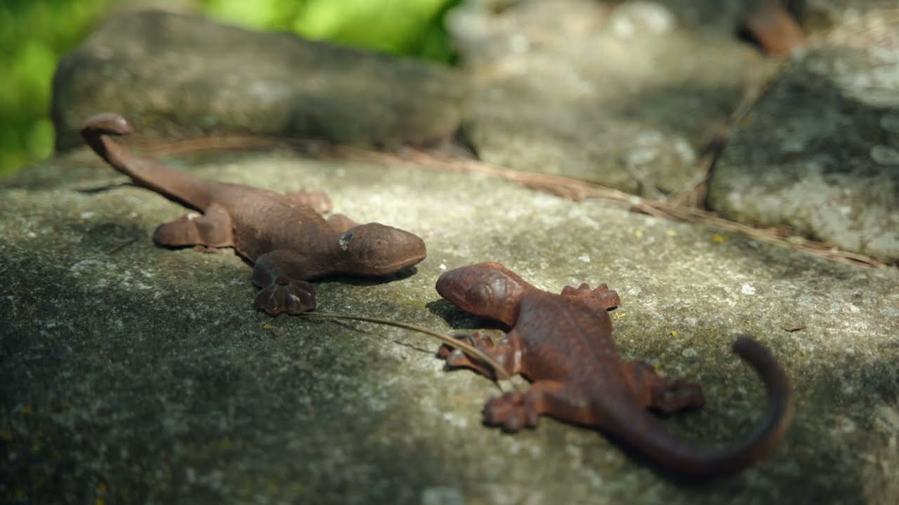 S2 - Épisode 3 : Les jardins de Gâtine