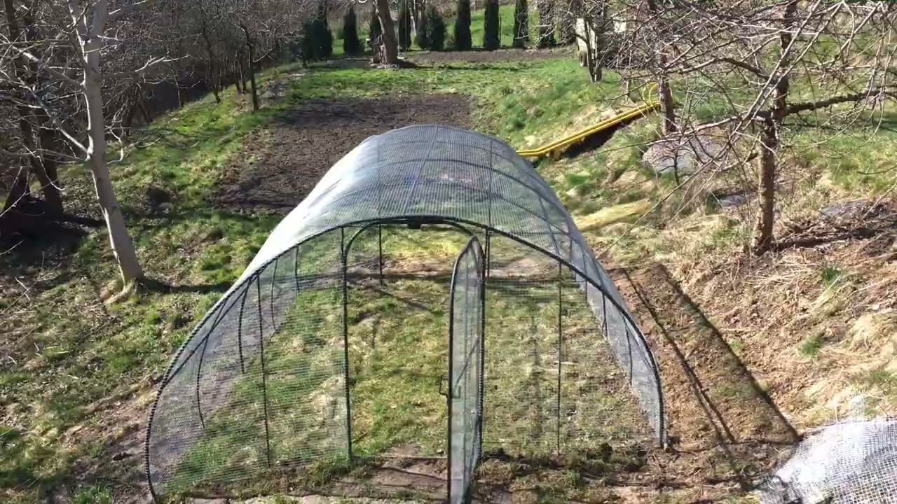 siatka na wolierę wnioski po montażu, czy warto dopłacić?