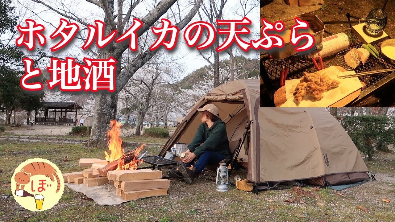 【ホタルイカの天ぷら】ぼっち女のソロキャンプ 【地酒】Firefly squid tempura and sake[Women's solo camp]