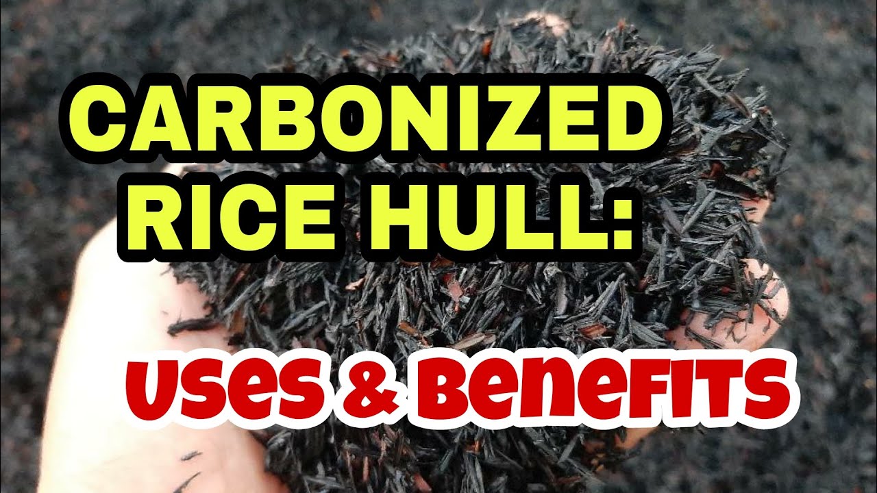 CARBONIZED RICE HULL: Uses and Benefits