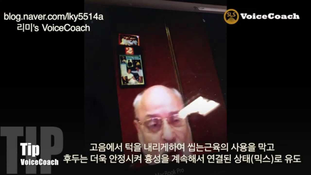 세스릭스(Seth riggs) 발성 레슨해설 / SLS 발성법(믹스보이스) 가수처럼노래하세요 이상림