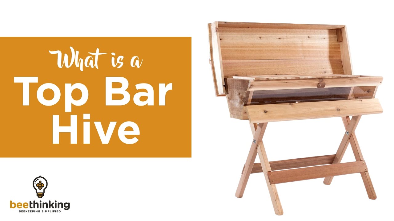 Что такое улей с верхними планками?