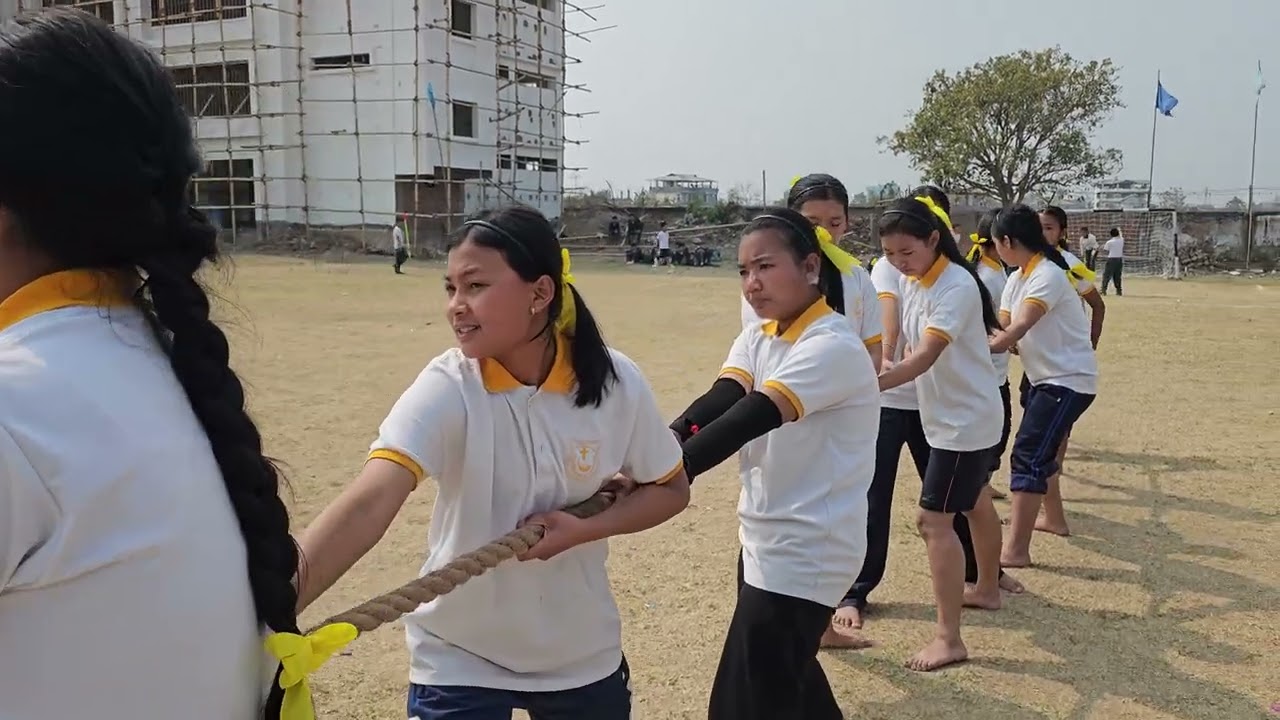 Tug of war (Blue Vs Yellow House)