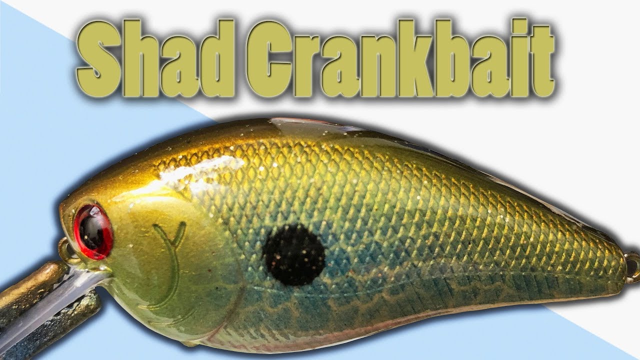 Airbrush Painting SHAD Squarebill Crankbait | Painting Fishing Lures