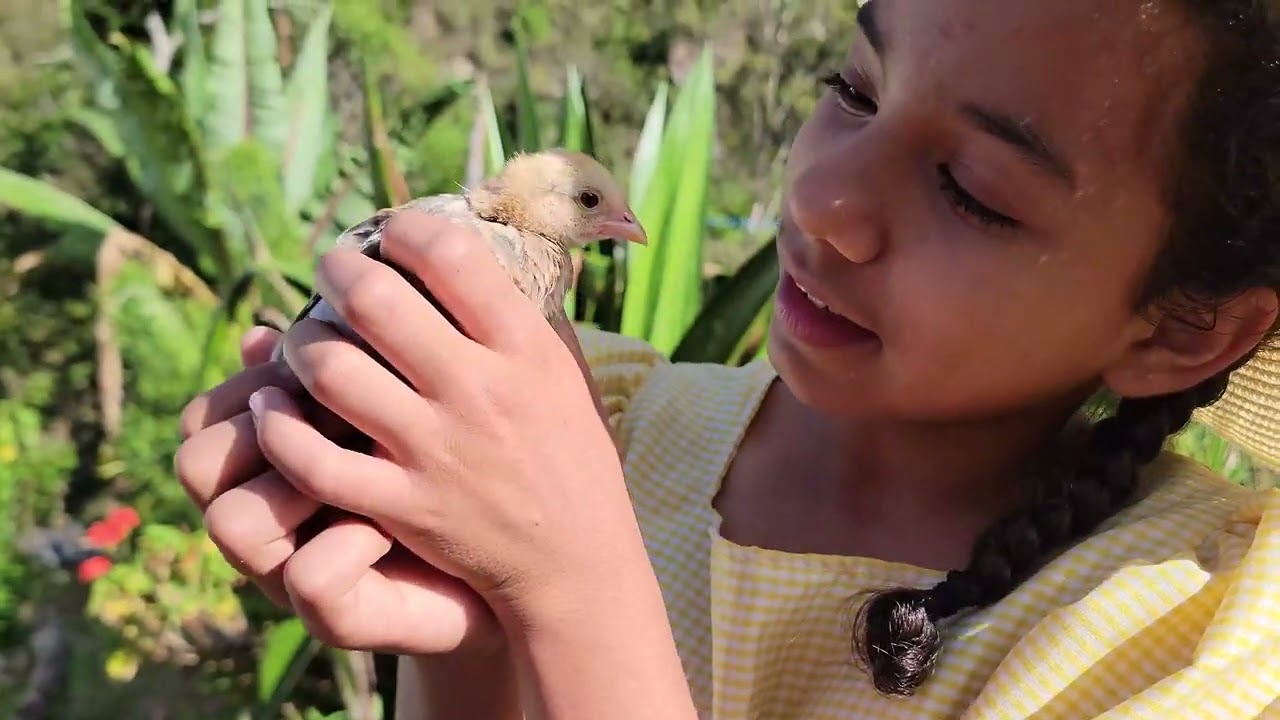4K | Si plantara un Jardin | Red ADvenir Music