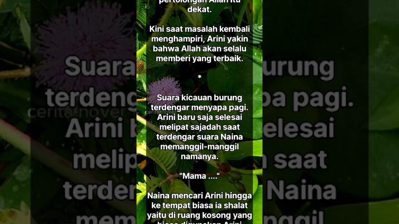 Putri Yang Kau Suruh Gu gurkan. 9