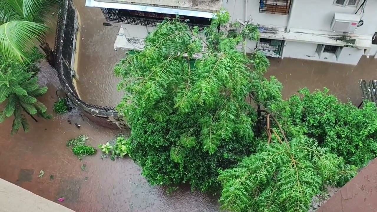 Rain Water touching new Levels 😀 | waterlogging 