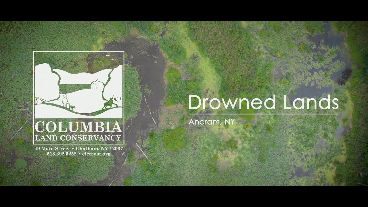 Drowned Lands Swamp (Ancram, NY) | Public Conservation Area | Columbia Land Conservancy