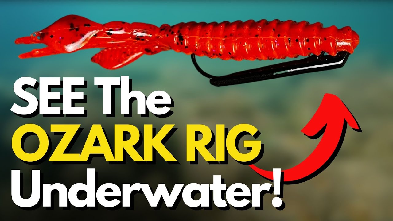 Что на самом деле делает оснастка Ozark Rig под водой? (3 разных варианта извлечения)