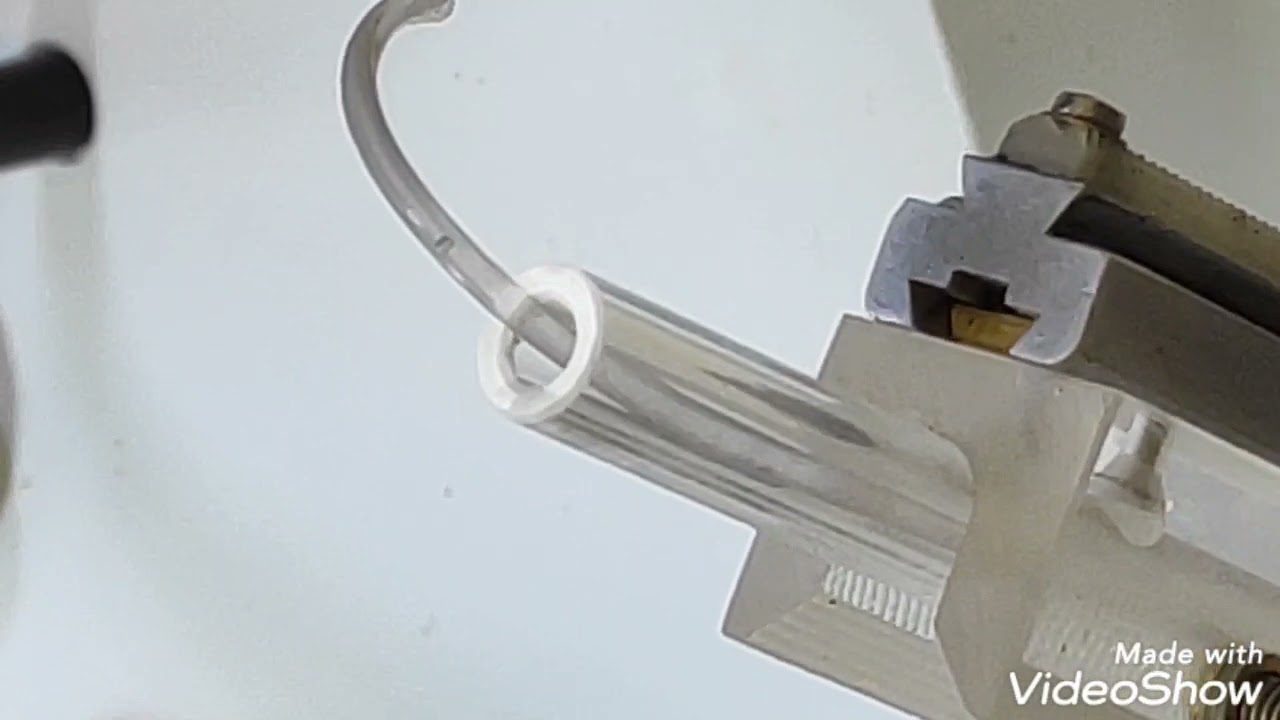 abelhas inseminação Boticas.