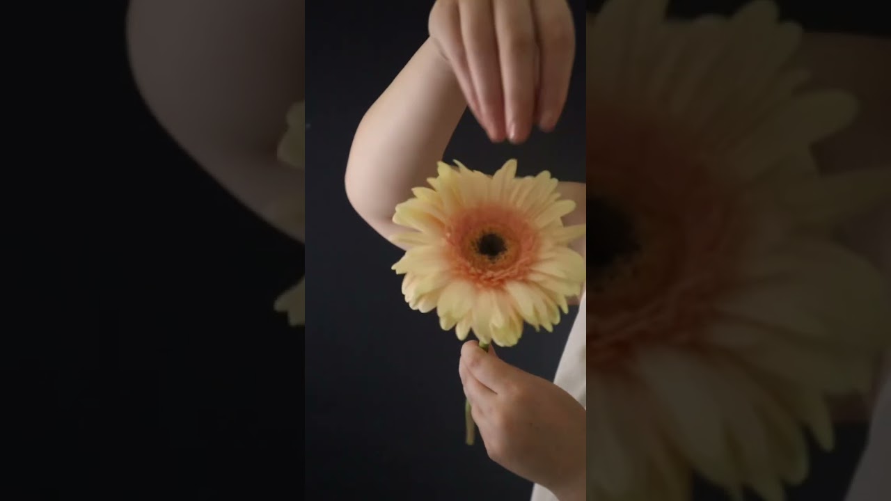 Trigger Assortment 🌺 #asmr #triggerassortment #satisfying #relax #amsrtriggers #tingles #shorts