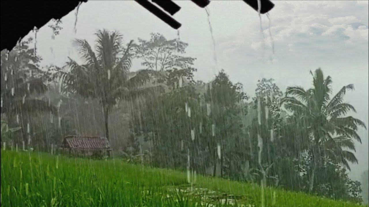 Сильный дождь на жестяной крыше 🌧️ Звуки дождя для глубокого сна — снятие стресса и расслабление