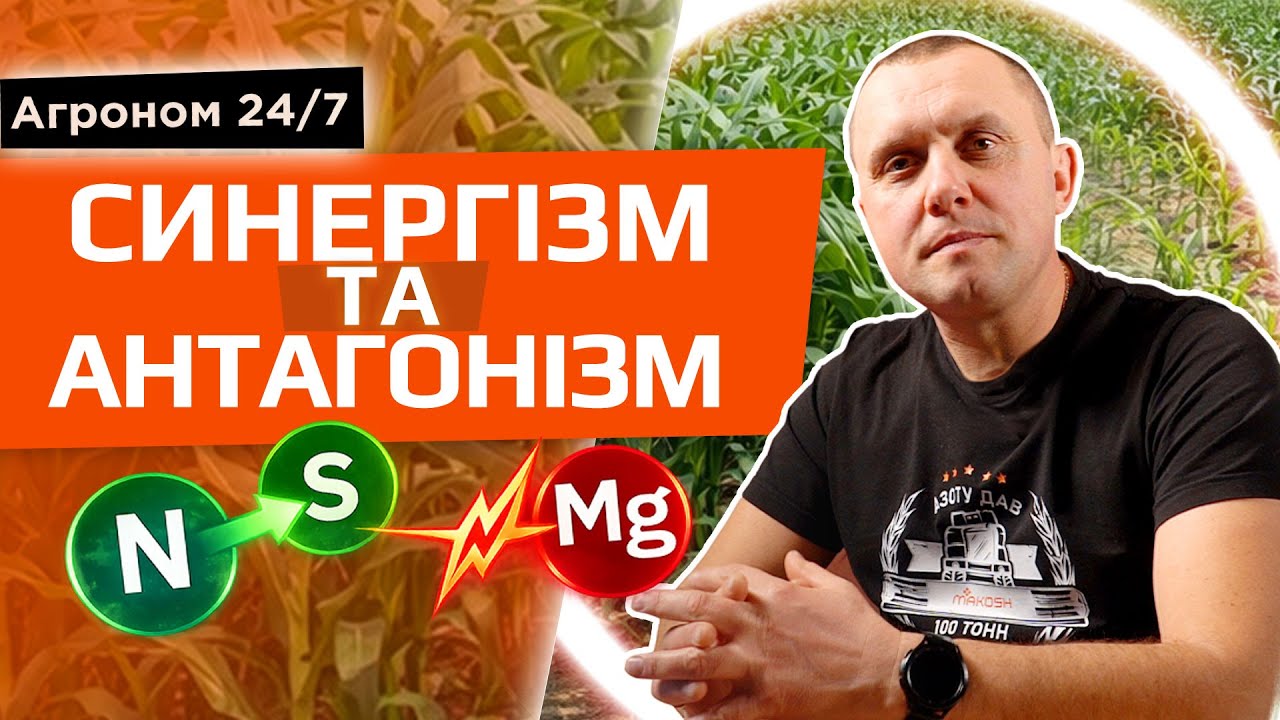 Синергізм і антагонізм елементів живлення в ґрунті!