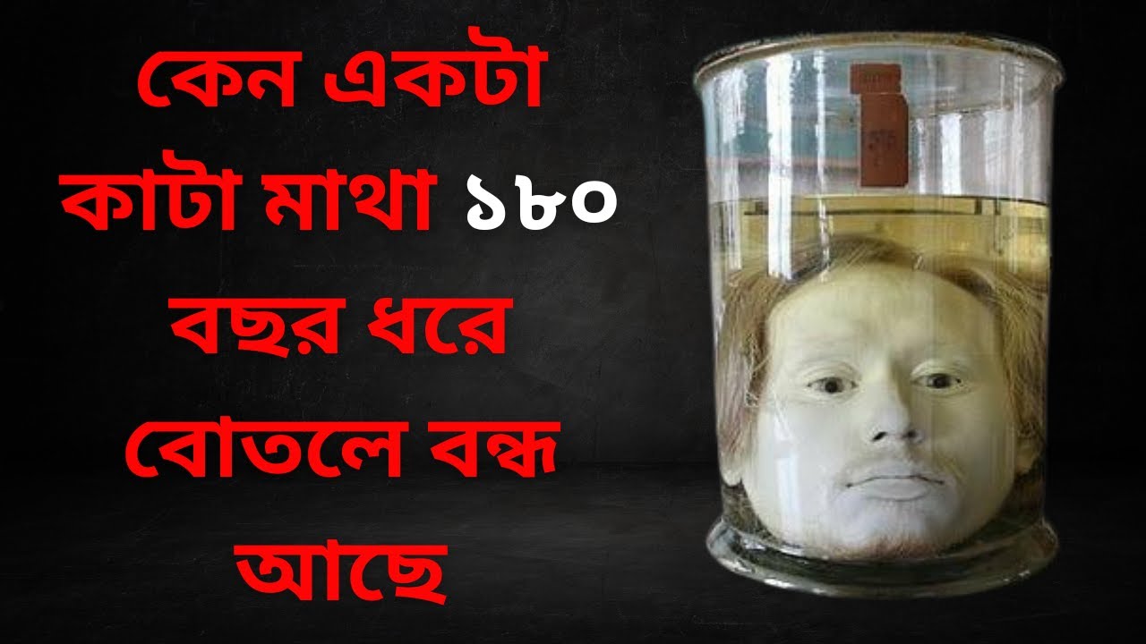 একটা কাটা মাথা ১৮০ বছর ধরে বোতলে বন্ধ আছে II সত্য ঘটনা #bangla #banglanews