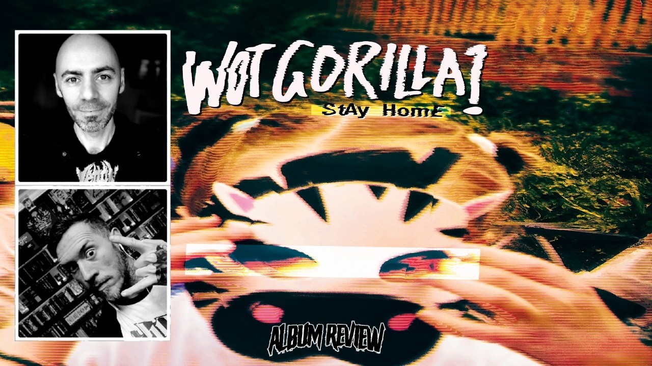 Wot Gorilla? - Stay Home (ОБЗОР АЛЬБОМА)