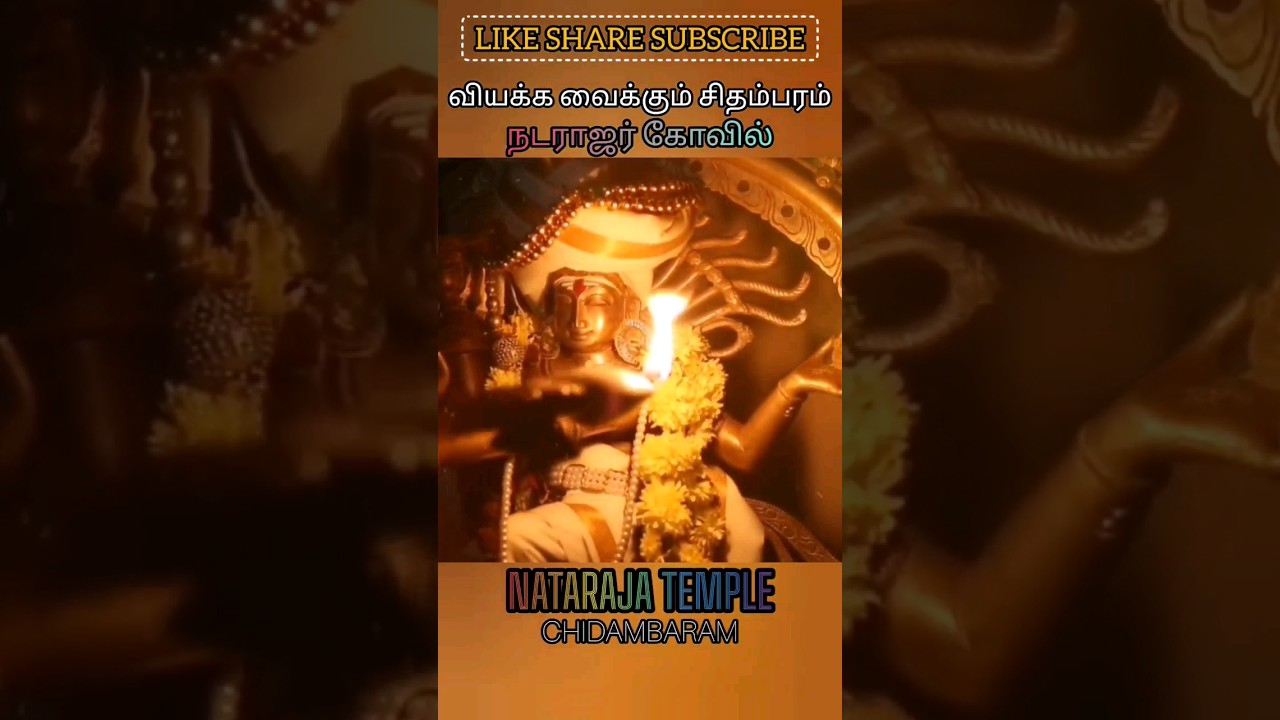 சிதம்பரம் நடராஜர் கோவில் NATARAJA TEMPLE #allintamizh #god #love #earth #chidambaram #natarajar ♾️👁️
