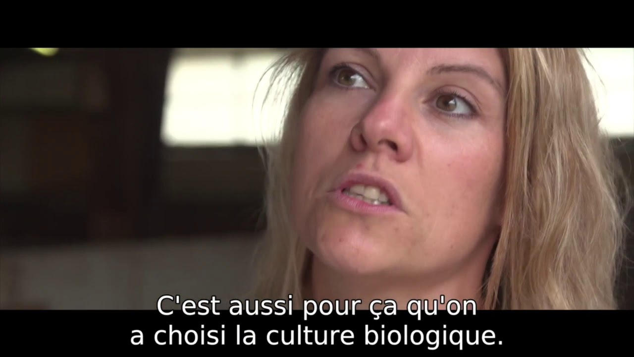 Le Petit Basque, une histoire de tradition