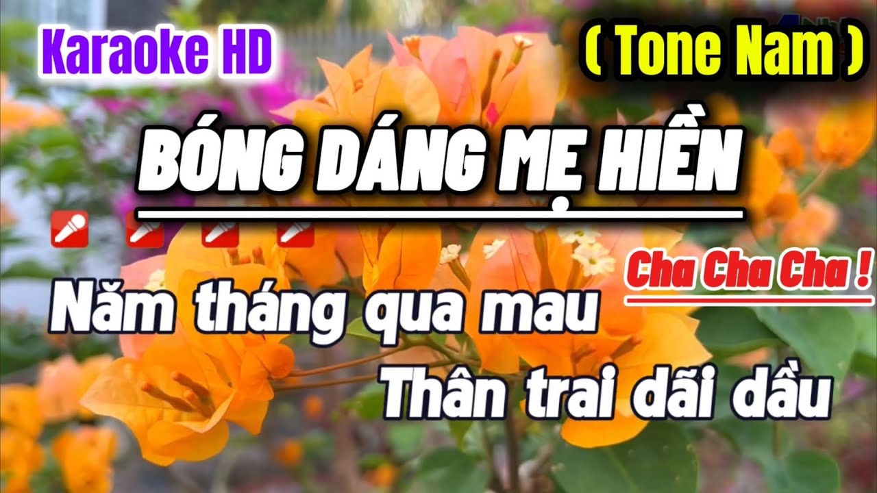 Karaoke Bóng Dáng Mẹ Hiền ( Tone Nam ) | Năm tháng qua mau thân trai dãi dầu mười năm xa xứ...