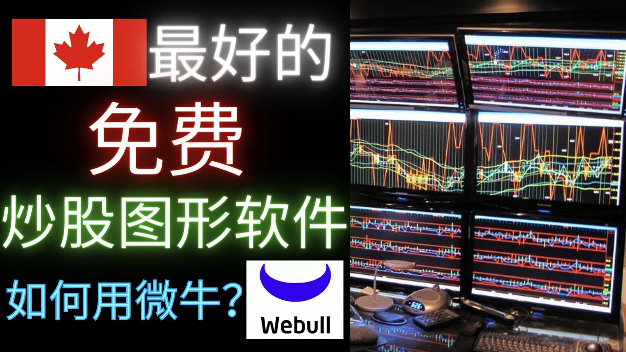 加拿大最好的免费炒股看图软件，我是怎么用Webull微牛软件的？从零开始教！