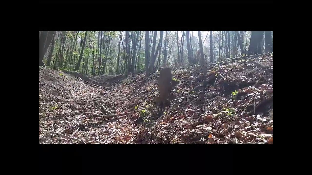 Silberklippe