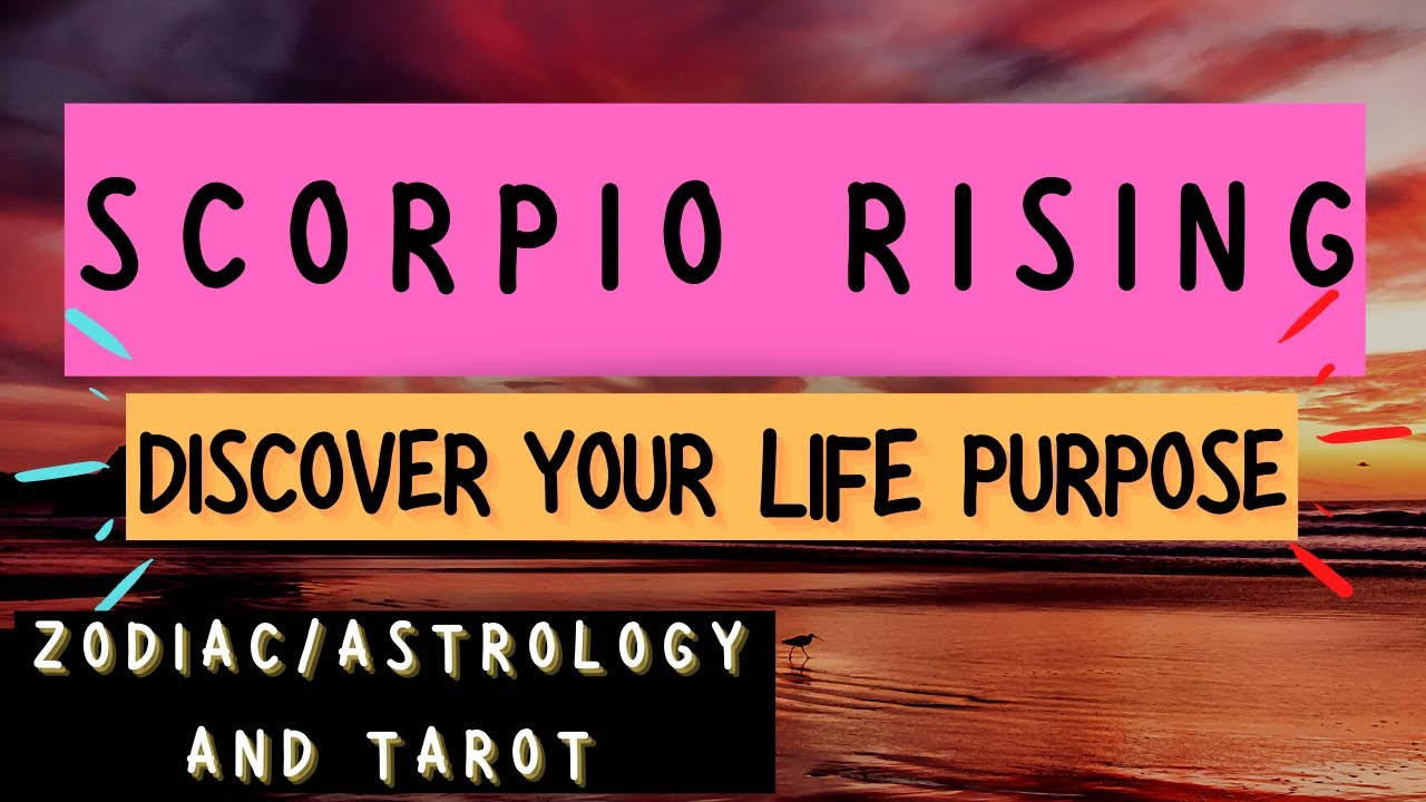 Scorpio rising/ascendant: Life purpose (Zodiac/Astrology and Tarot reading) || Timeless ♏
