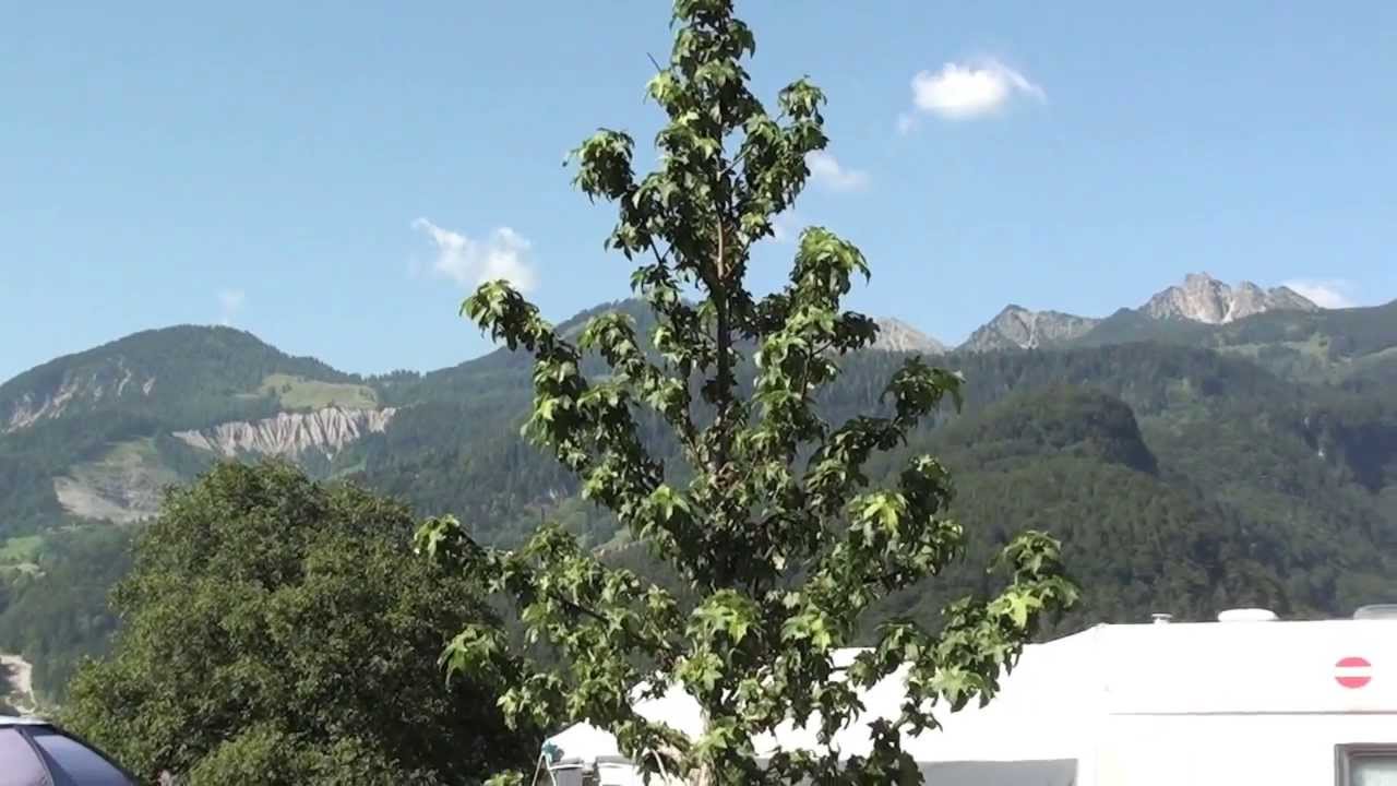 camping sonnenberg in nuziders