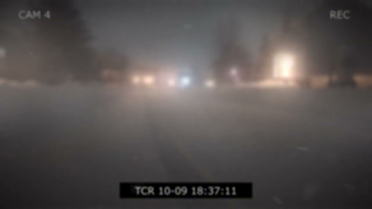 Watching the Flakes through a Grainy Lens