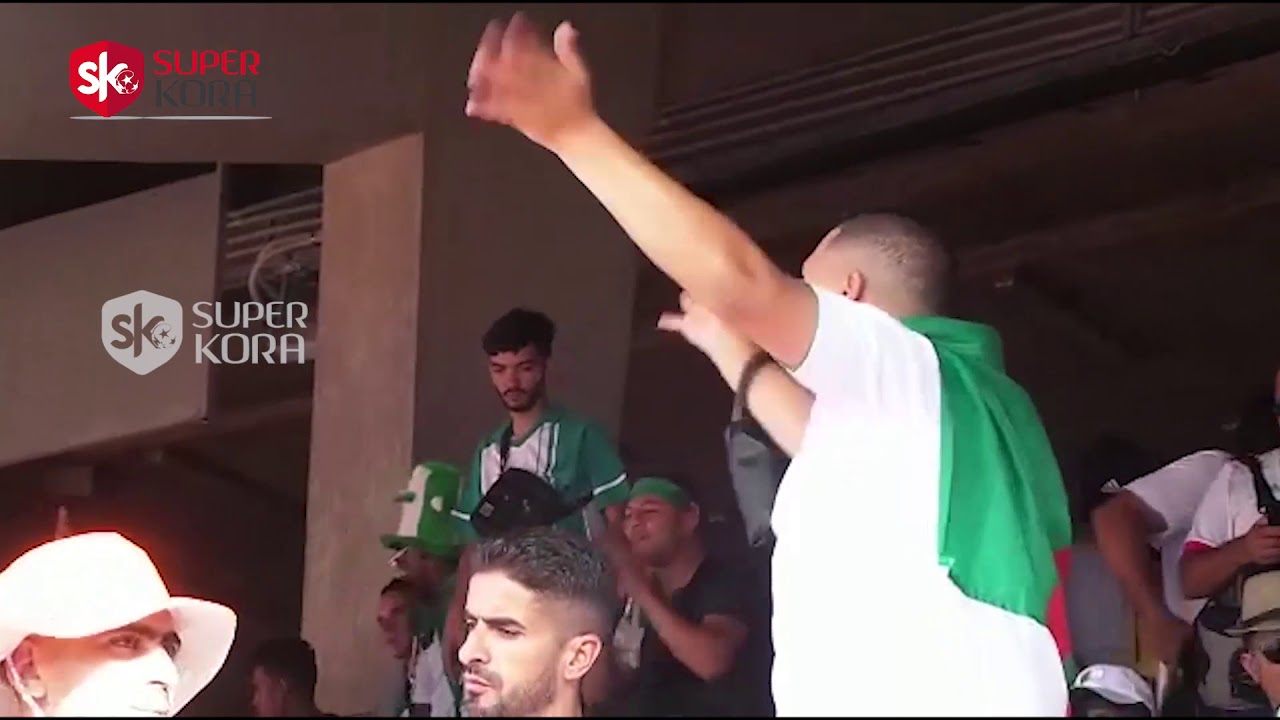 شاهد.. جماهير الجزائر تشعل استاد القاهرة قبل نهائي أمم أفريقيا 2019