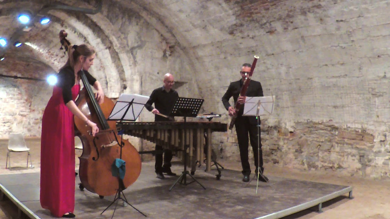 Ave Maria - A.Piazzolla- (Double bass, Bassoon and Marimba Version)
