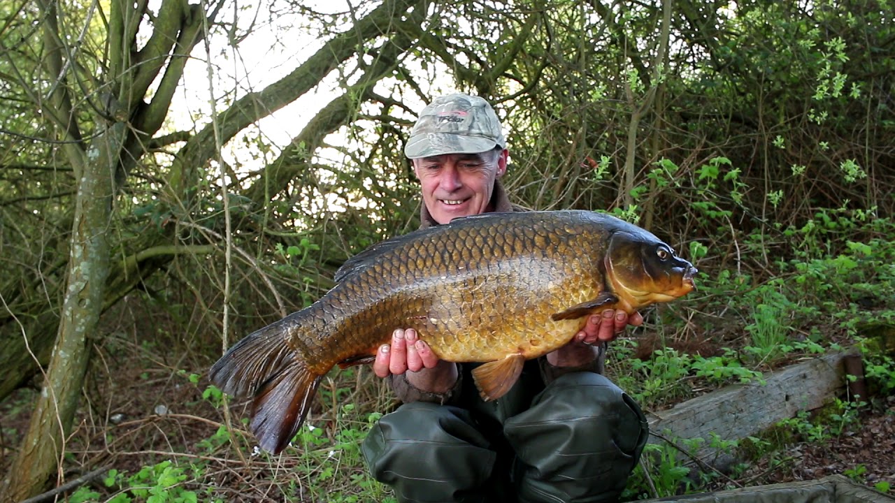 Dave Lane Carp Blog - The sun is back and so is Laney, the big lake adventures start again