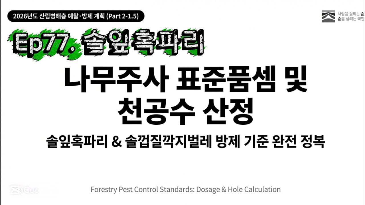 Ep77. 솔잎혹파리 나무주사와 천공수 & 약제주입량 (2부-1.5)