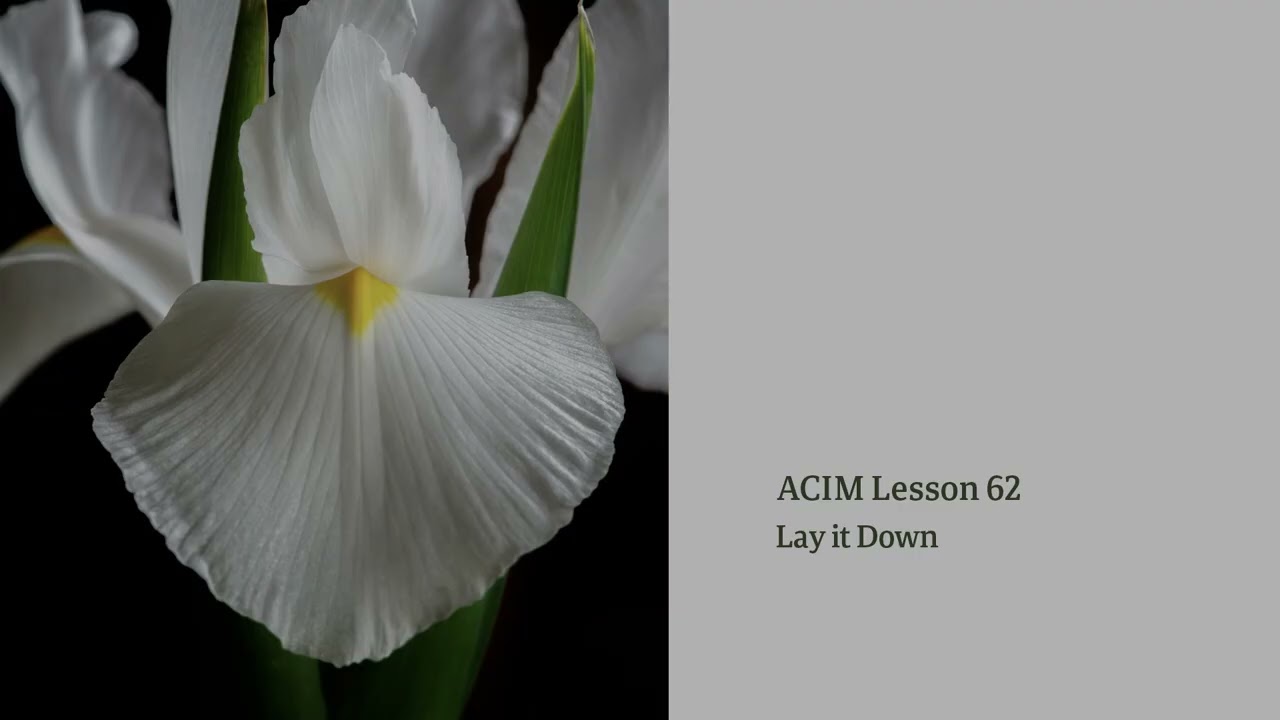 ACIM Lesson 62 — Lay it Down | Devotional Song