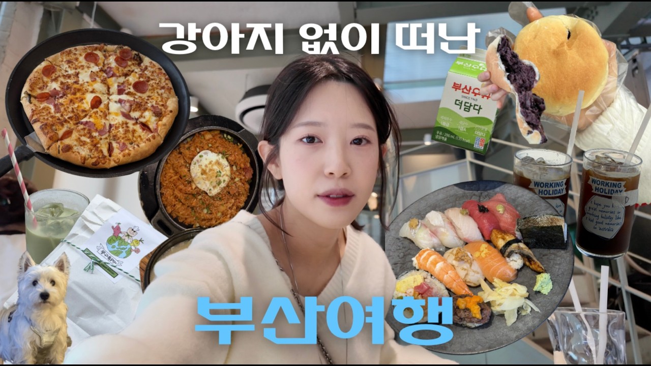 강아지 없이 떠난 1박 2일 부산여행 🌊 이재모피자, 뭉구점, 크리미, 안목, 희와제과, 스시바시쿠, 워킹홀리데이