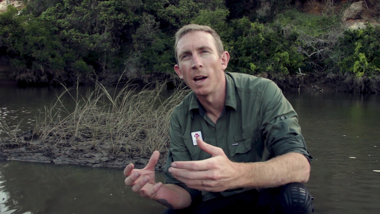 The Knysna Estuary - Conservation in Action