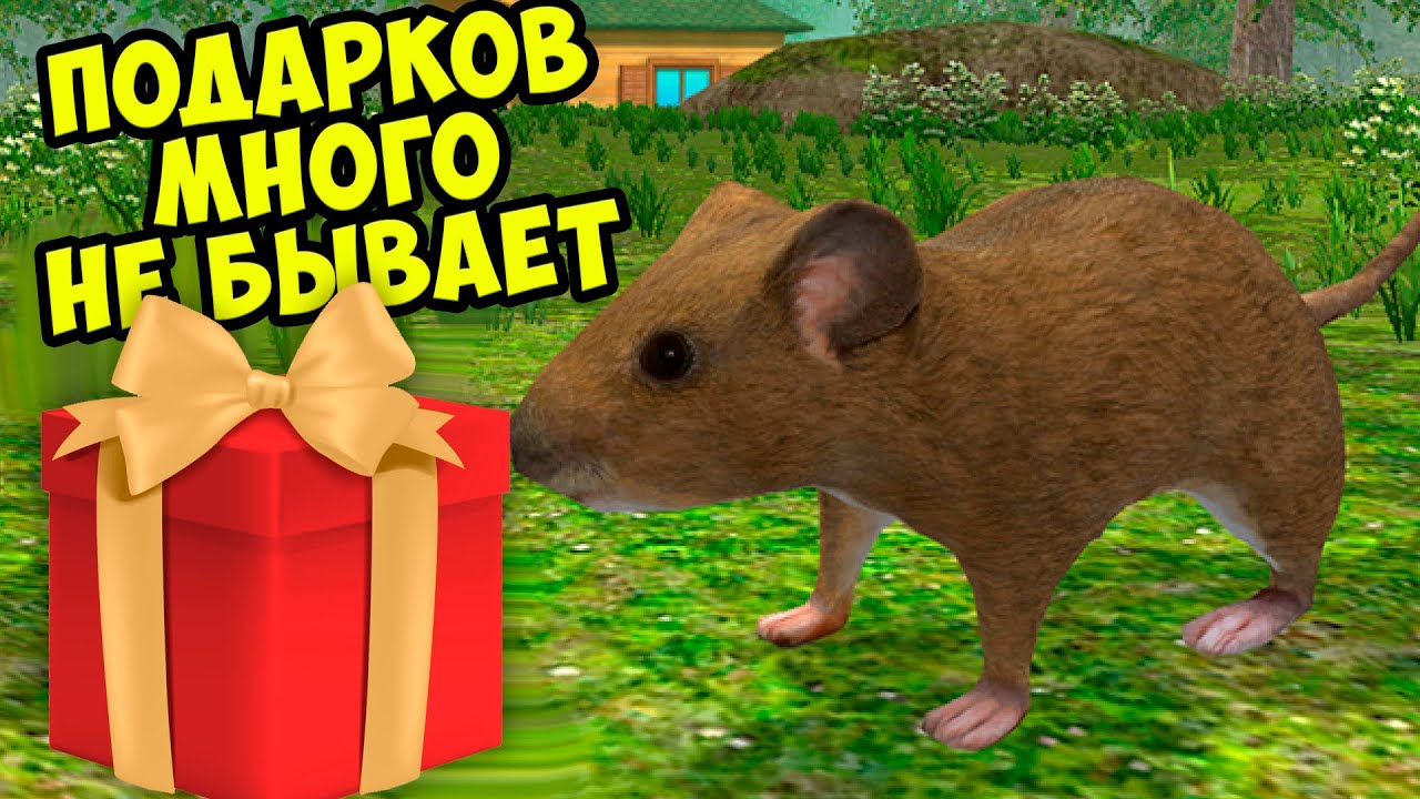 😍ДЕНЬ ПОДАРКОВ🎁Симулятор мыши🐁 Ухаживаю за питомцем