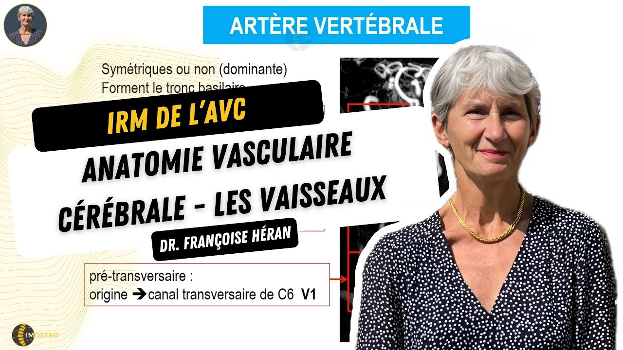 L'anatomie vasculaire cérébrale  - Les vaisseaux avec le Dr Françoise Héran