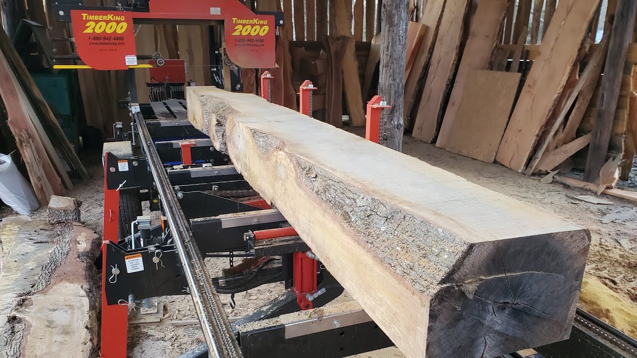 First time cutting Southern Live Oak on the sawmill