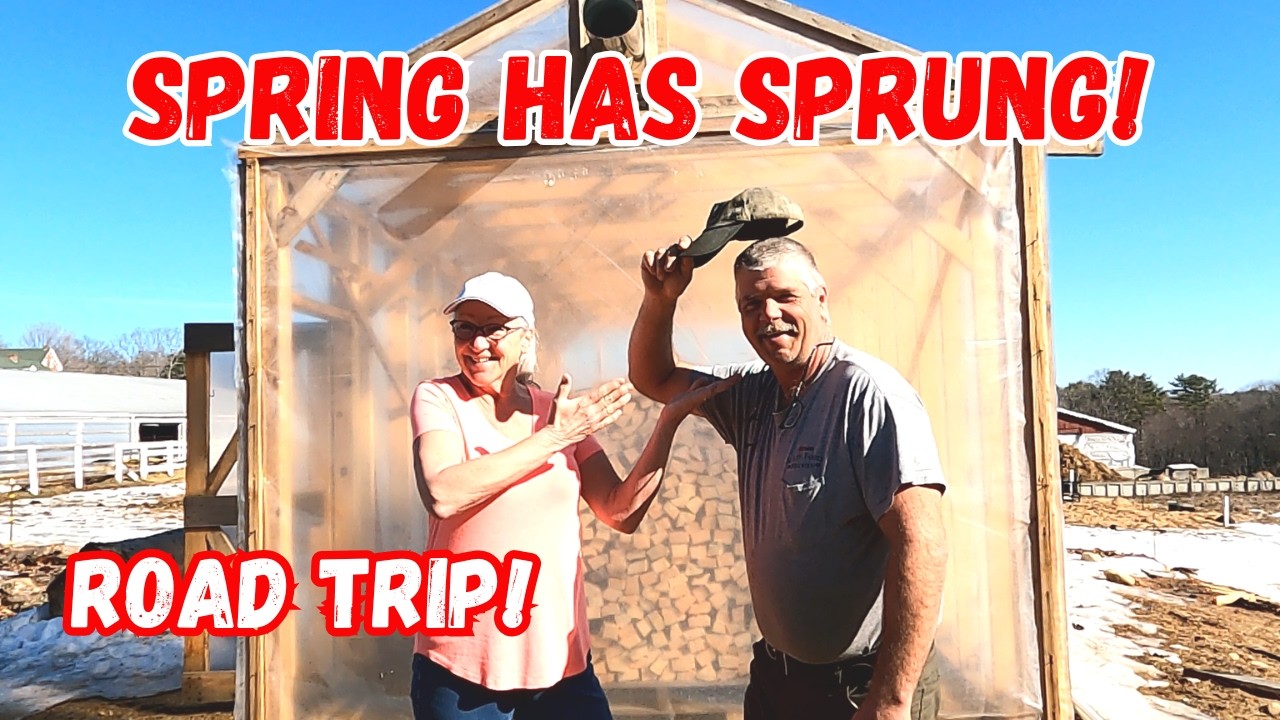 Весна пришла! Работаем на лесопилке. И отправляемся в автомобильное путешествие!