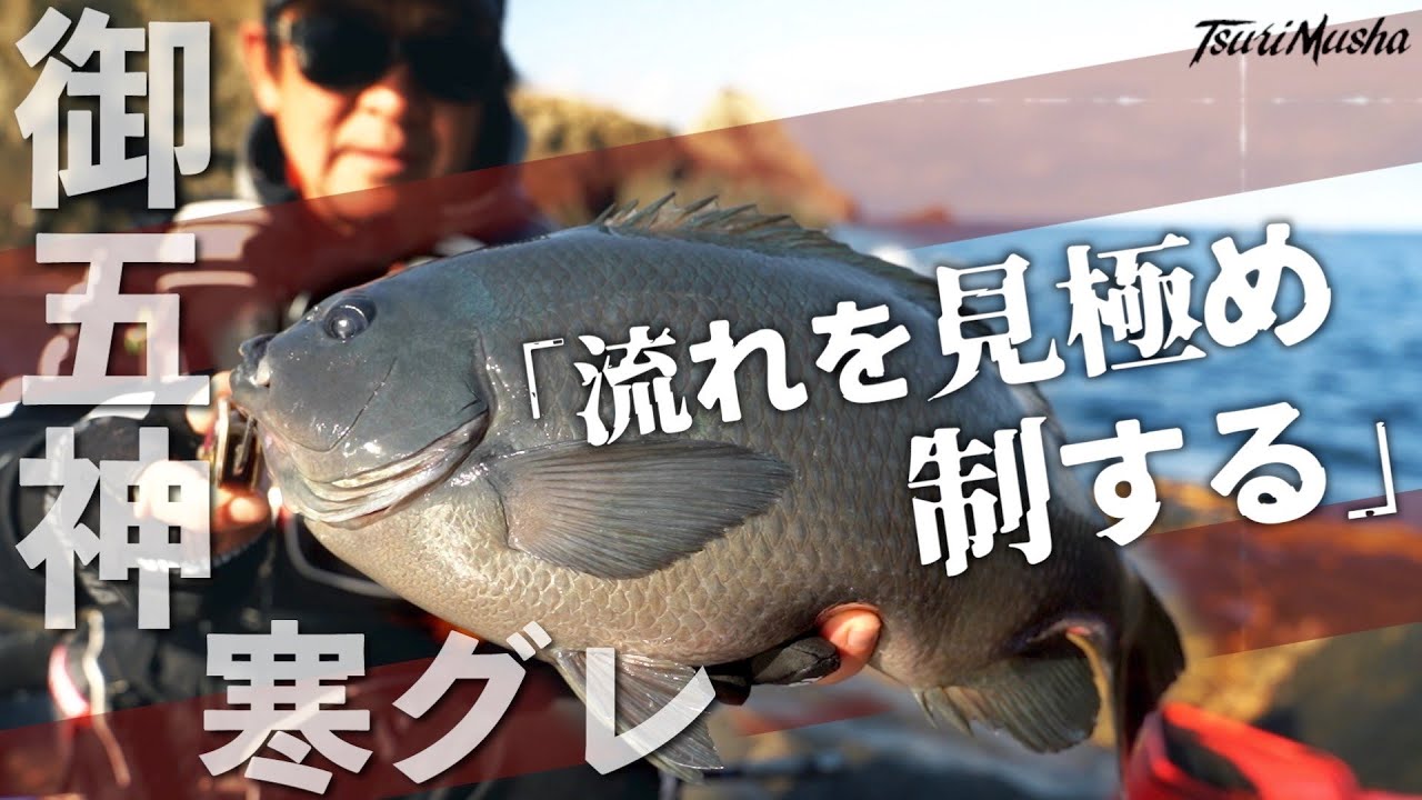 豊後水道（宇和島）「流れを見極め制する」 寒グレラストスパート！