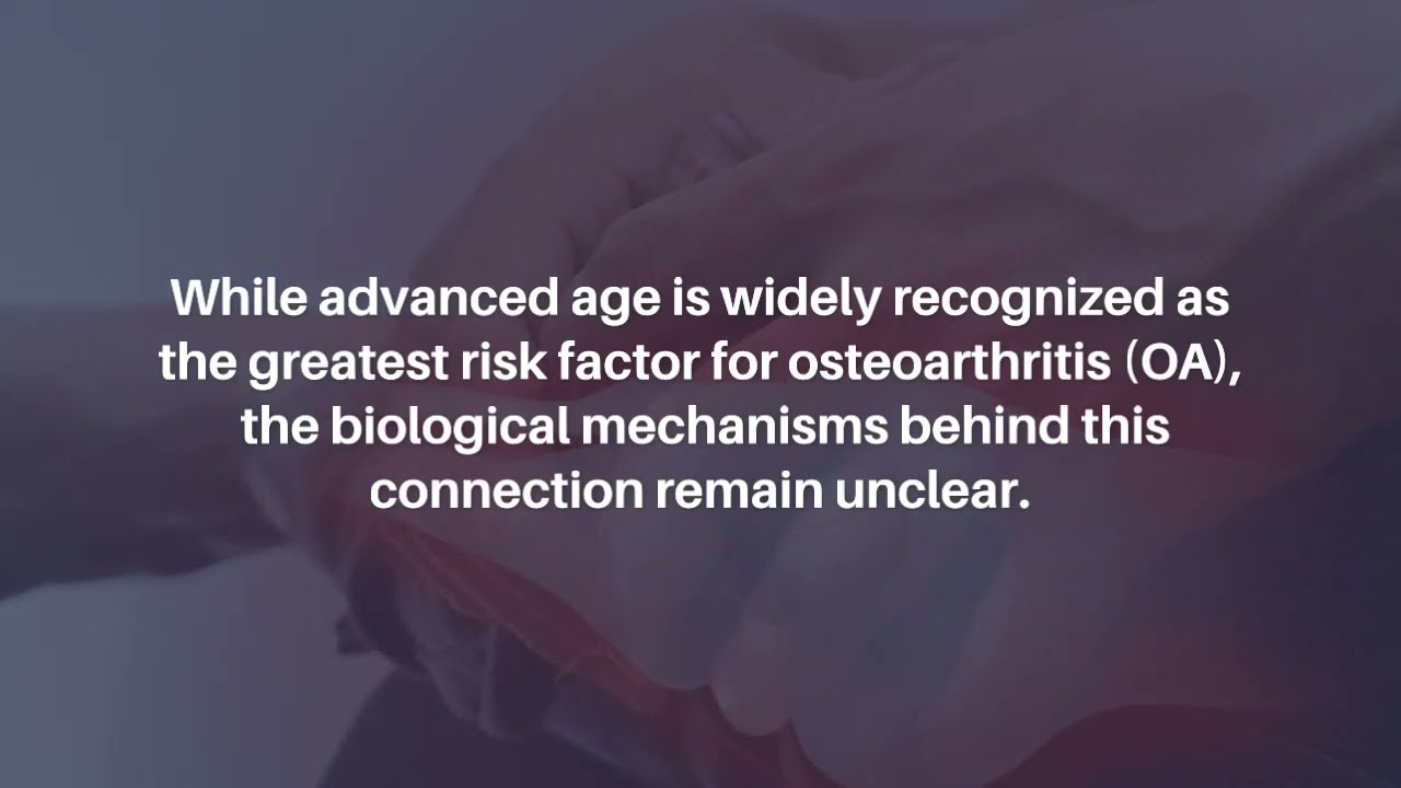Sirtuin 6 Activation Rescues Age-Related DNA Repair Decline in Chondrocytes | Aging-US