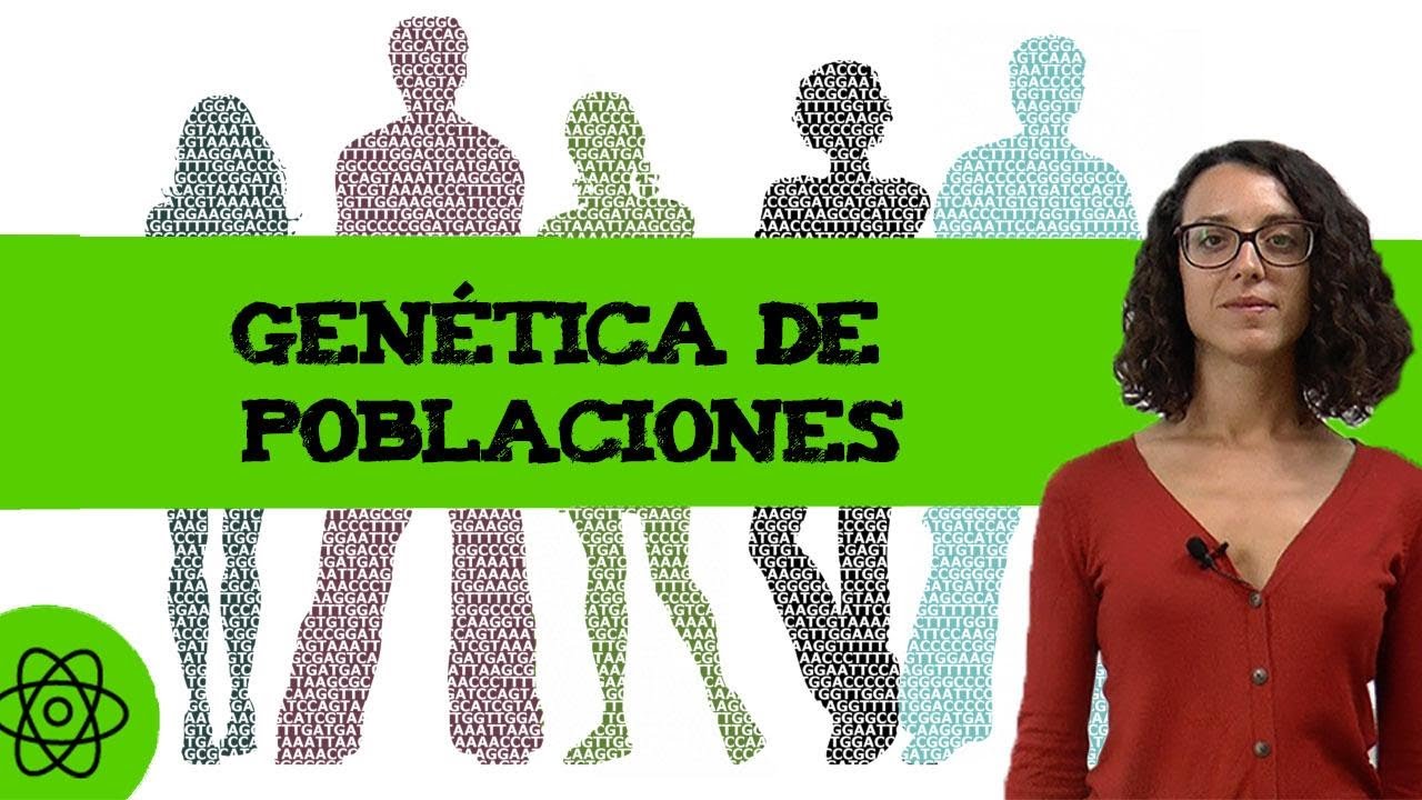 Conceptos genética de poblaciones: frecuencias alélicas, genotípicas y fenotípicas 🧑🏾‍🤝‍🧑🏿