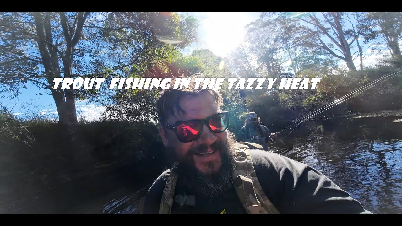 Trout Fishing in tight creeks.