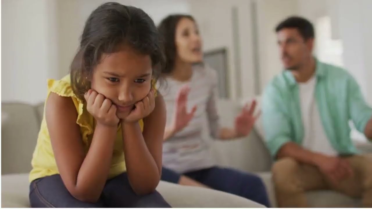 Parental Alienation and Domestic Violence: What Gets Lost in the Fog?