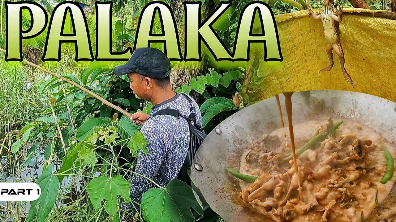 P1-Nangawil ng Palaka sa Sako ng Iba - EP1474